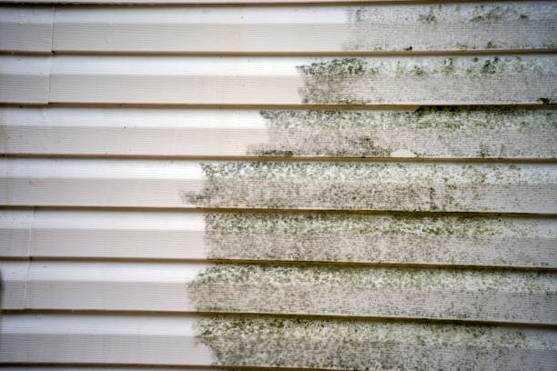 Best Fascia and Soffit Installation  in Kennedy, CA