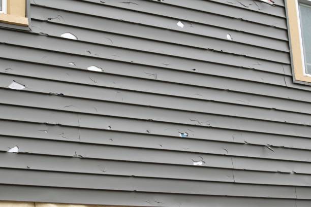 Professional Siding Installation & Repair in Kennedy, CA