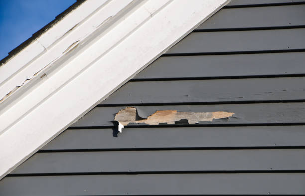 Siding for New Construction in Kennedy, CA